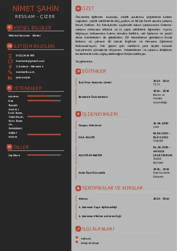 Ressam Cv Örnekleri cv indir